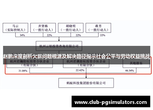 赵鹏深度剖析欠薪问题根源及解决路径揭示社会公平与劳动权益挑战
