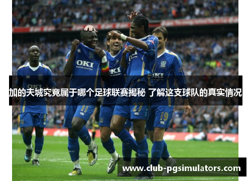 加的夫城究竟属于哪个足球联赛揭秘 了解这支球队的真实情况